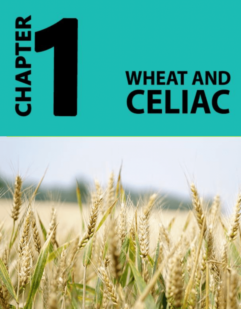 Gluten free lifestyle - -